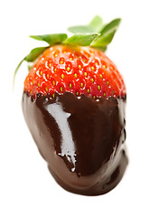 Image showing Strawberry dipped in chocolate