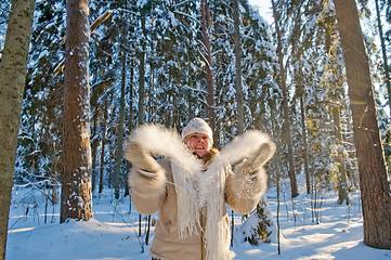 Image showing Winters joy