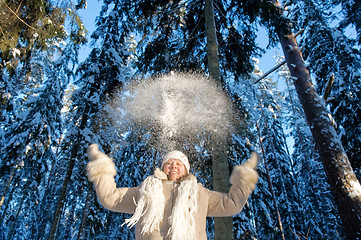 Image showing Winters joy