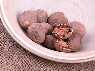 Image showing nutmegs