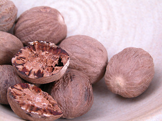 Image showing nutmegs