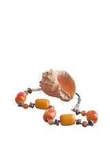 Image showing beads and shell 3