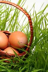 Image showing Easter eggs