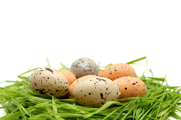 Image showing Easter eggs