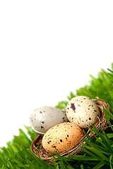 Image showing Easter eggs