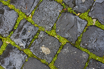 Image showing green grass between wet cobblestones