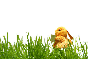 Image showing Easter bunny in the grass
