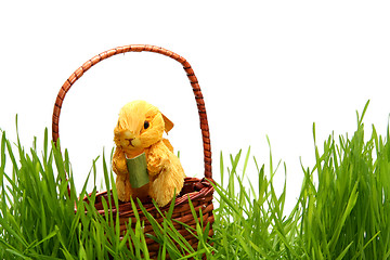 Image showing Easter bunny in the grass