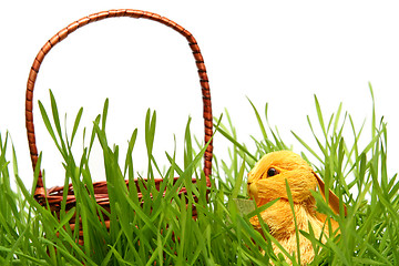 Image showing Easter bunny in the grass