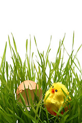 Image showing Easter chicken