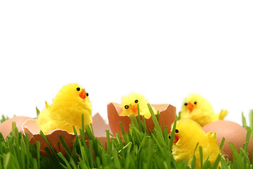 Image showing Easter chicken