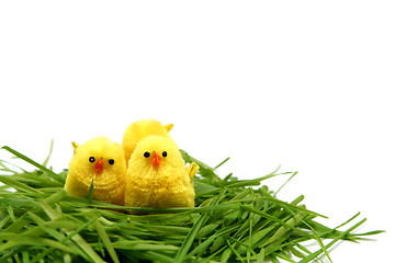 Image showing Easter chicken