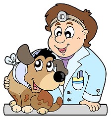 Image showing Dog with collar at veterinarian