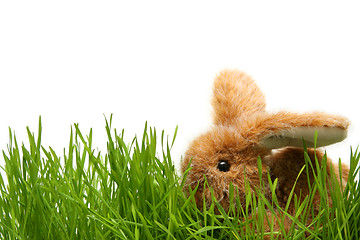 Image showing Easter bunny