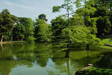 Image showing madrid park lake