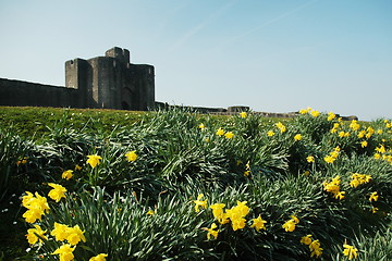 Image showing caerphilly castle