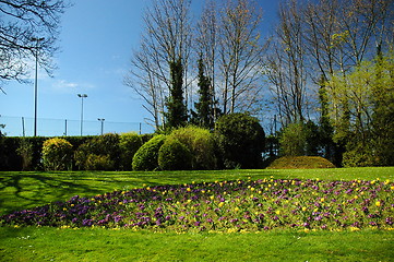 Image showing Penarth park