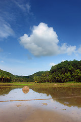 Image showing Asian landscape with pond