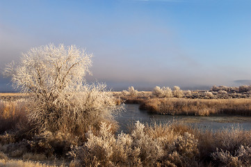 Image showing Winter landscape