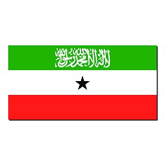 Image showing The national flag of Somaliland