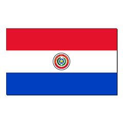 Image showing The national flag of Paraguay