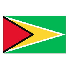 Image showing The national flag of Guyana