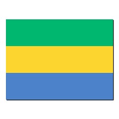 Image showing The national flag of Gabon