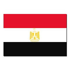 Image showing The national flag of Egypt