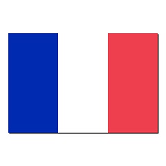 Image showing The national flag of France
