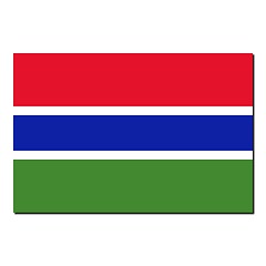 Image showing The national flag of Gambia