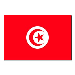 Image showing The national flag of Tunisia