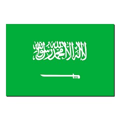 Image showing The national flag of Saudi Arabia