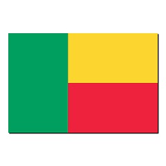 Image showing The national flag of Benin