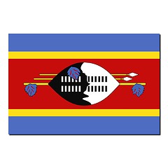 Image showing The national flag of Swaziland