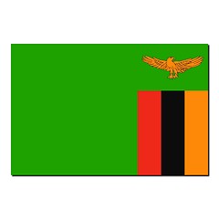 Image showing The national flag of Zambia