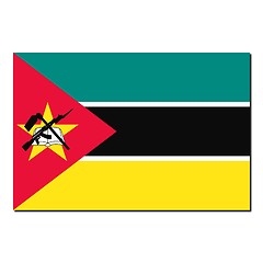 Image showing The national flag of Mozambique