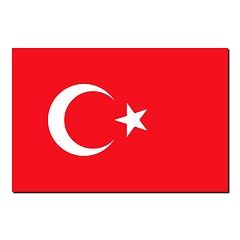 Image showing The national flag of Turkey