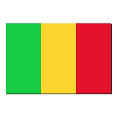 Image showing The national flag of Mali