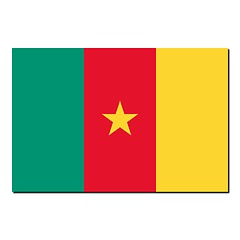 Image showing The national flag of Cameroon