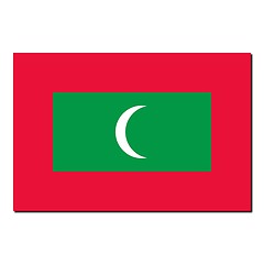 Image showing The national flag of Maldives