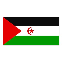 Image showing The national flag of Western Sahara