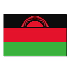 Image showing The national flag of Malawi