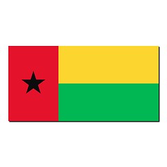 Image showing The national flag of Guinea-Bissau