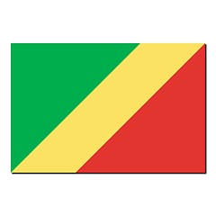 Image showing The national flag of Congo