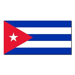 Image showing The national flag of Cuba