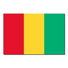 Image showing The national flag of Guinea