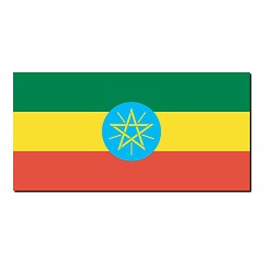 Image showing The national flag of Ethiopia