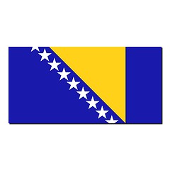 Image showing The national flag of Bosnia and Herzegovina