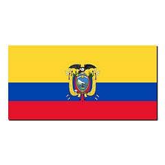 Image showing The national flag of Ecuador