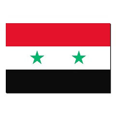 Image showing The national flag of Syria